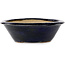 Round blue bonsai pot by Echizen - 170 x 170 x 50 mm