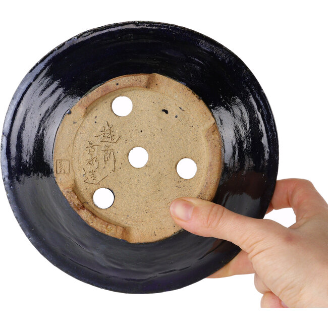 Ronde blauwe bonsaipot van Echizen - 170 x 170 x 50 mm