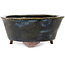 Round blue bonsai pot by Echizen - 150 x 150 x 65 mm