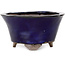 Round blue bonsai pot by Echizen - 130 x 130 x 70 mm