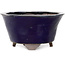 Round blue bonsai pot by Echizen - 130 x 130 x 70 mm