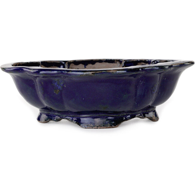 Mokko blauer Bonsaitopf von Echizen – 175 x 150 x 50 mm