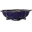 Mokko blue bonsai pot by Echizen - 175 x 150 x 50 mm