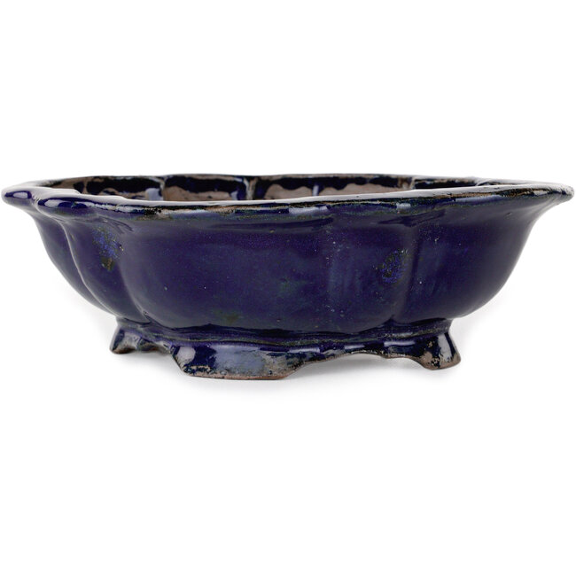 Mokko blauer Bonsaitopf von Echizen – 175 x 150 x 50 mm