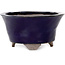 Round blue bonsai pot by Echizen - 130 x 130 x 70 mm