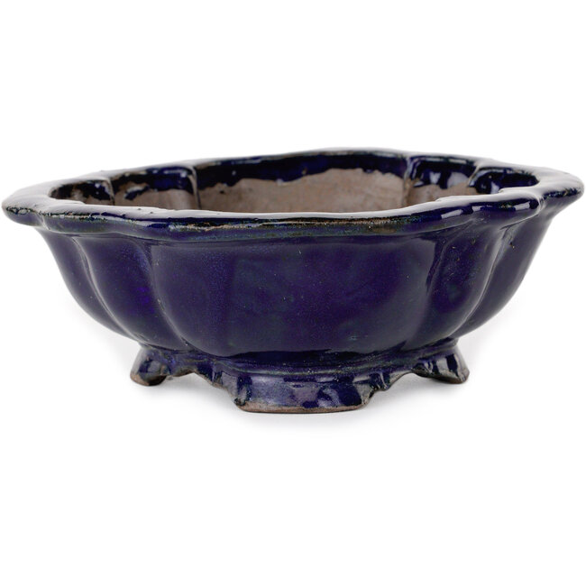 Mokko blauwe bonsaipot van Echizen - 175 x 150 x 50 mm