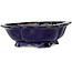 Mokko blue bonsai pot by Echizen - 175 x 150 x 50 mm