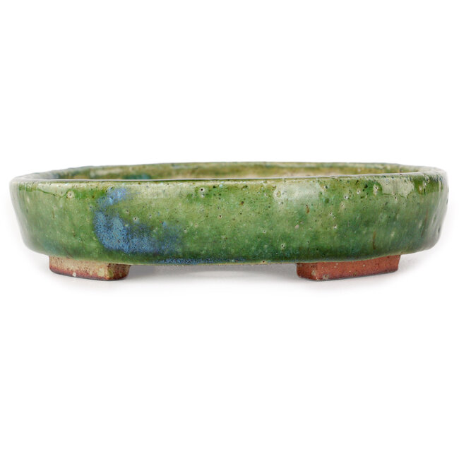Pot à bonsaï ovale vert par Echizen - 170 x 140 x 30 mm