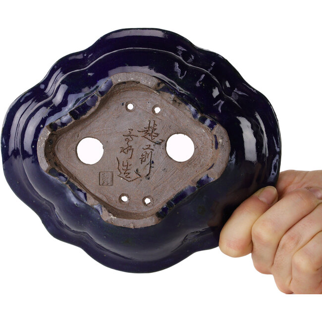 Maceta para bonsai Mokko azul de Echizen - 175 x 150 x 50 mm