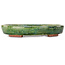 Oval green bonsai pot by Echizen - 170 x 140 x 30 mm