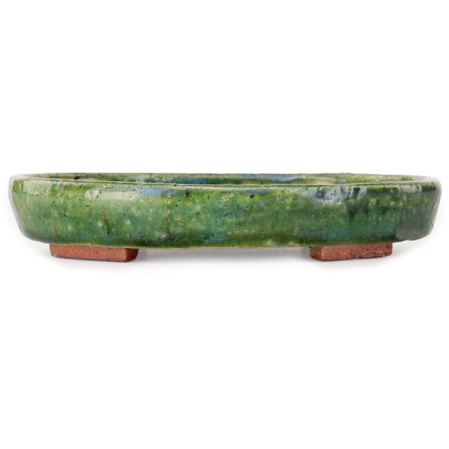 Oval green bonsai pot by Echizen - 170 x 140 x 30 mm