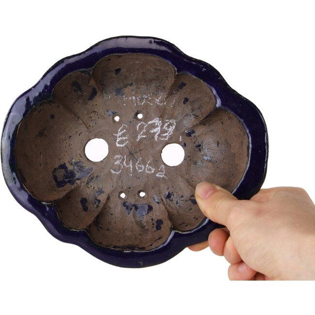 Maceta para bonsai Mokko azul de Echizen - 175 x 150 x 50 mm