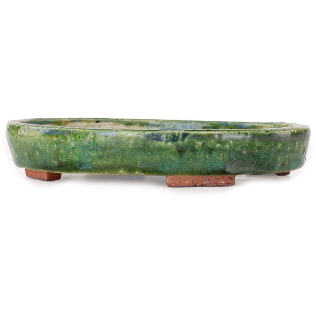 Oval green bonsai pot by Echizen - 170 x 140 x 30 mm