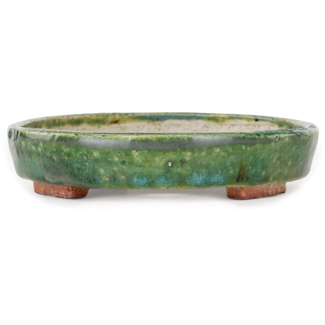 Vaso bonsai ovale verde di Echizen - 170 x 140 x 30 mm