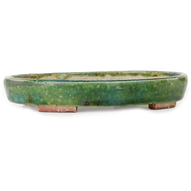 Pot à bonsaï ovale vert par Echizen - 170 x 140 x 30 mm