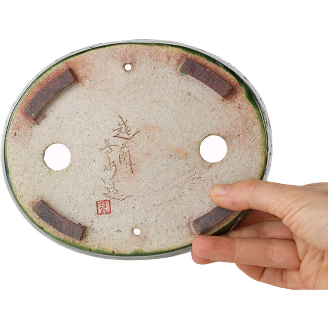 Pot à bonsaï ovale vert par Echizen - 170 x 140 x 30 mm
