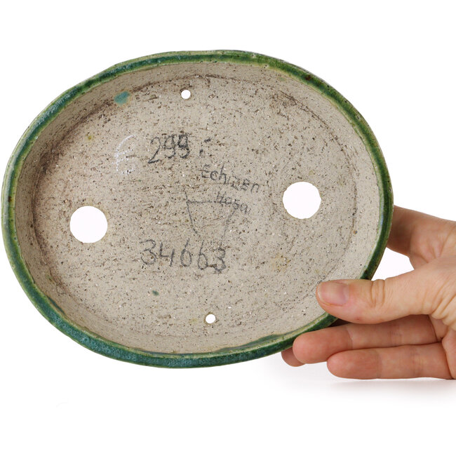 Pot à bonsaï ovale vert par Echizen - 170 x 140 x 30 mm