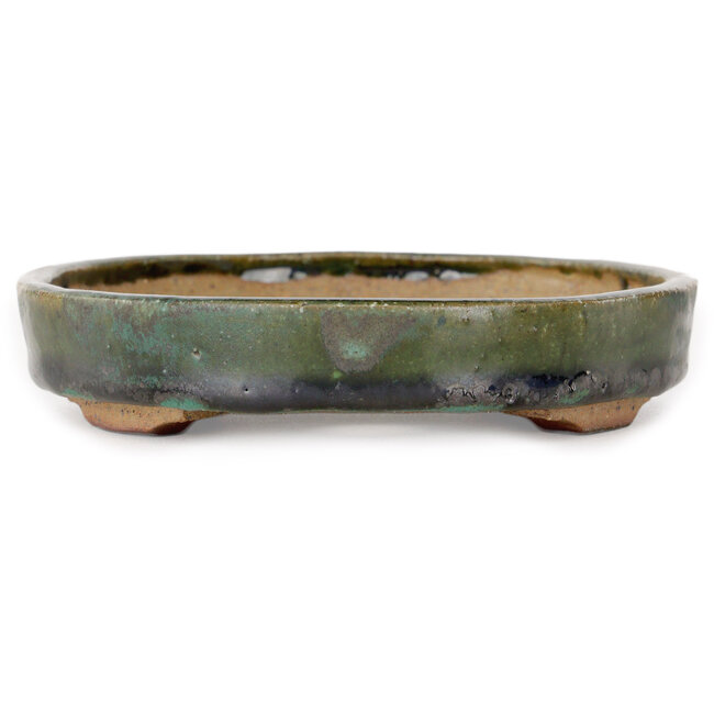 Pot à bonsaï ovale vert par Echizen - 165 x 130 x 28 mm