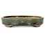 Oval green bonsai pot by Echizen - 165 x 130 x 28 mm
