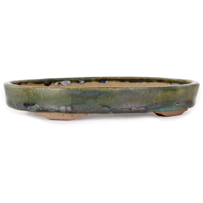 Vaso bonsai ovale verde di Echizen - 165 x 130 x 28 mm