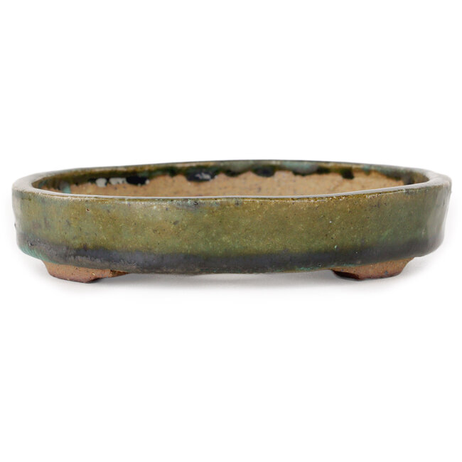 Maceta ovalada verde para bonsái de Echizen - 165 x 130 x 28 mm