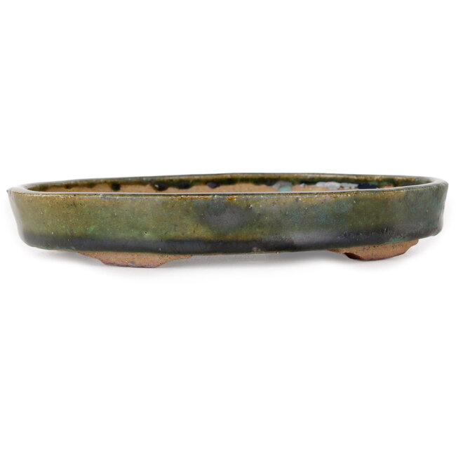 Maceta ovalada verde para bonsái de Echizen - 165 x 130 x 28 mm