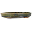 Pot à bonsaï ovale vert par Echizen - 165 x 130 x 28 mm