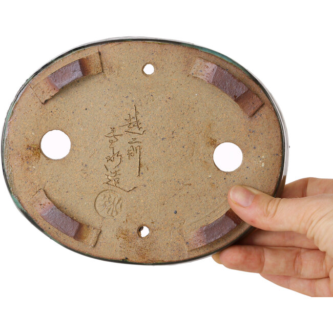 Maceta ovalada verde para bonsái de Echizen - 165 x 130 x 28 mm