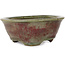 Round green and red bonsai pot by Echizen - 125 x 125 x 53 mm