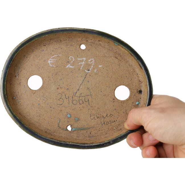 Pot à bonsaï ovale vert par Echizen - 165 x 130 x 28 mm