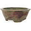 Round green and red bonsai pot by Echizen - 125 x 125 x 53 mm