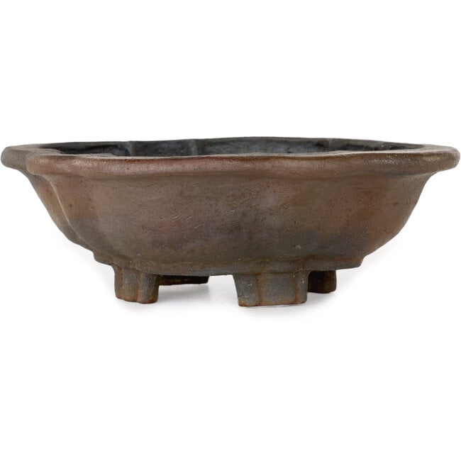 Vaso bonsai Mokko non smaltato di Echizen - 175 x 150 x 60 mm