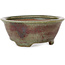 Round green and red bonsai pot by Echizen - 125 x 125 x 53 mm