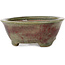 Round green and red bonsai pot by Echizen - 125 x 125 x 53 mm