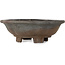 Mokko unglazed bonsai pot by Echizen - 175 x 150 x 60 mm