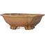 Mokko unglazed bonsai pot by Echizen - 175 x 155 x 55 mm