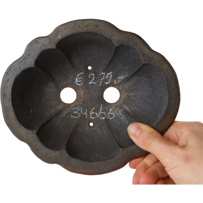 Mokko ongeglazuurde bonsaipot van Echizen - 175 x 150 x 60 mm