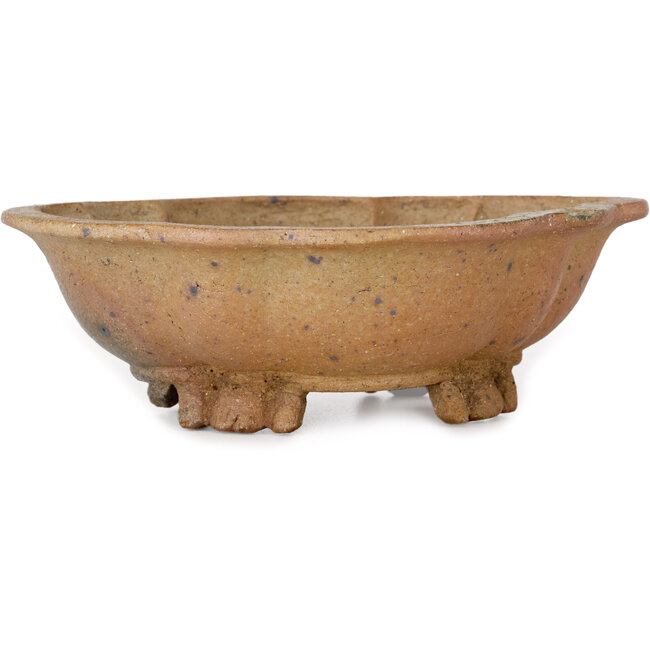 Pot à bonsaï Mokko non émaillé par Echizen - 175 x 155 x 55 mm