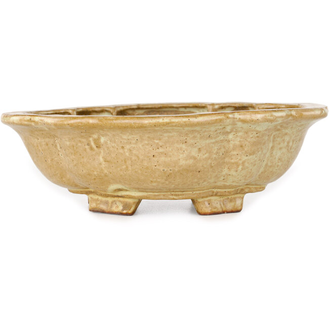 Mokko beige bonsai pot by Echizen - 170 x 150 x 50 mm