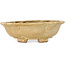 Mokko beige bonsai pot by Echizen - 170 x 150 x 50 mm