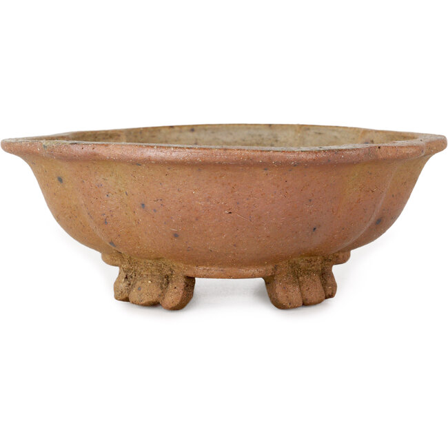 Mokko unglazed bonsai pot by Echizen - 175 x 155 x 55 mm