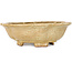 Mokko beige bonsai pot by Echizen - 170 x 150 x 50 mm