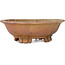 Mokko unglazed bonsai pot by Echizen - 175 x 155 x 55 mm