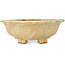 Mokko beige bonsai pot by Echizen - 170 x 150 x 50 mm