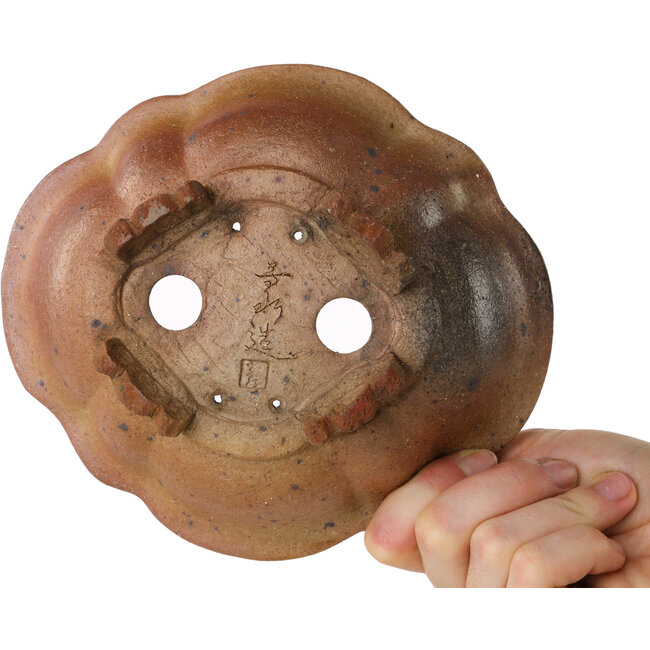 Pot à bonsaï Mokko non émaillé par Echizen - 175 x 155 x 55 mm