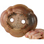 Mokko ongeglazuurde bonsaipot van Echizen - 175 x 155 x 55 mm