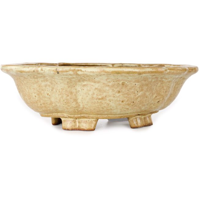 Mokko beige bonsai pot by Echizen - 170 x 150 x 50 mm