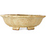 Mokko beige bonsai pot by Echizen - 170 x 150 x 50 mm