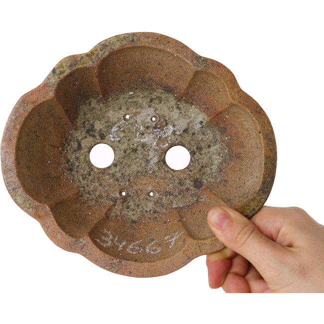 Mokko ongeglazuurde bonsaipot van Echizen - 175 x 155 x 55 mm