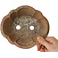 Mokko unglazed bonsai pot by Echizen - 175 x 155 x 55 mm